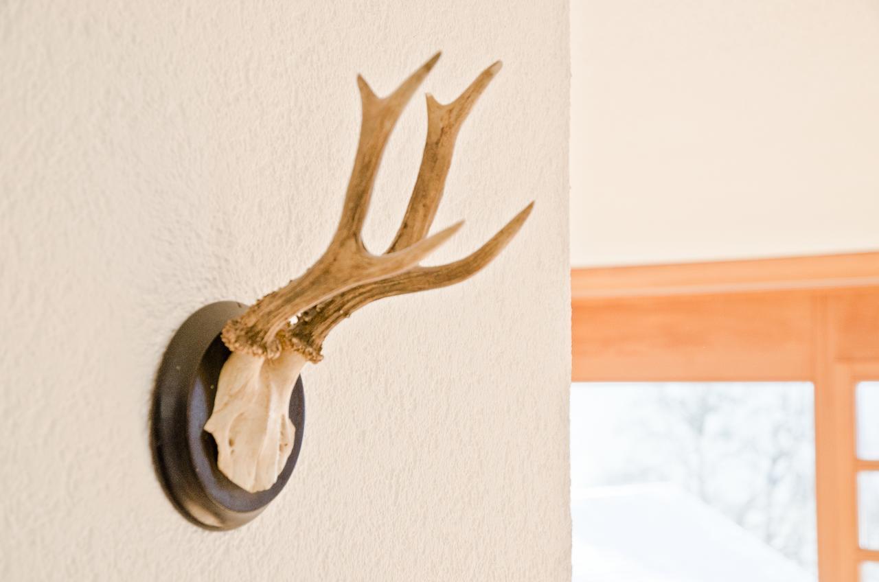 Apartment Matterhorn - Griwa Rent Ag グリンデルヴァルト エクステリア 写真